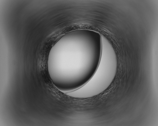 X0000088391014200705220756