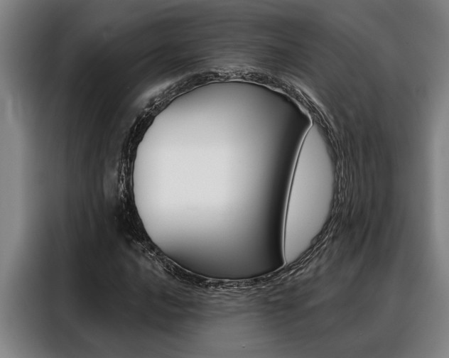X0000088391016200705220757
