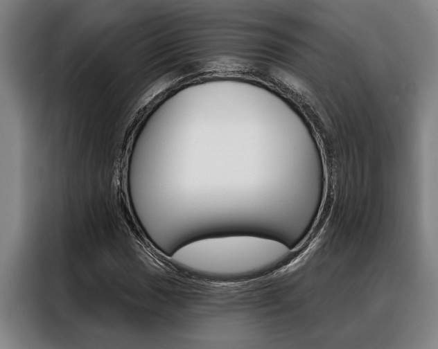 X0000088391017200705220757