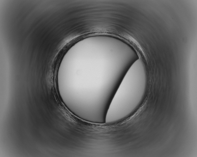 X0000088391019200705220757