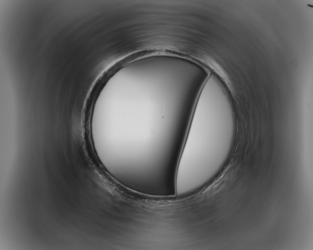X0000088391020200705220757