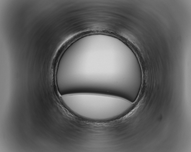 X0000088391021200705220757