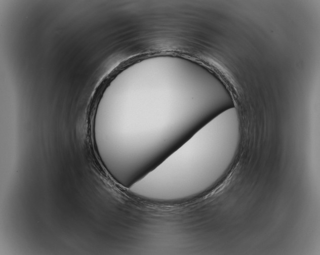 X0000088391023200705220757