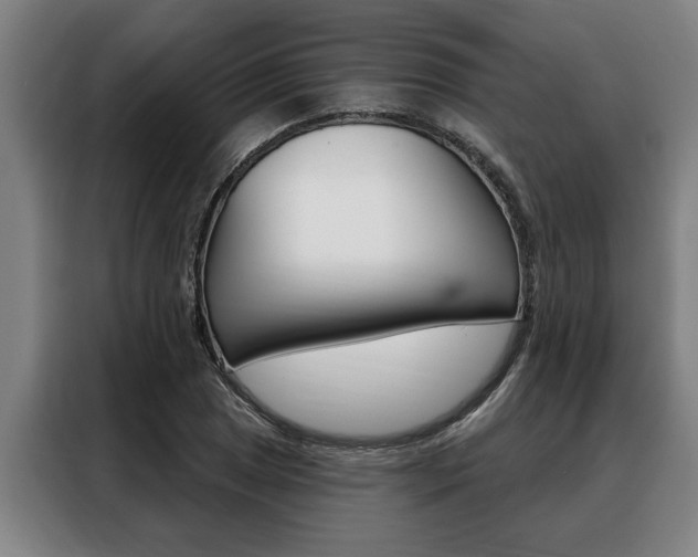 X0000088391025200705220757