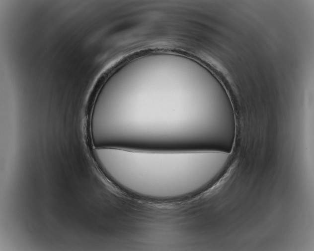 X0000088391029200705220757