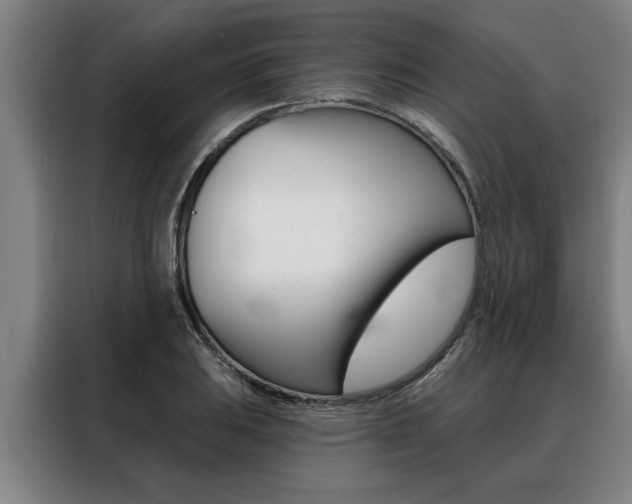 X0000088391031200705220757