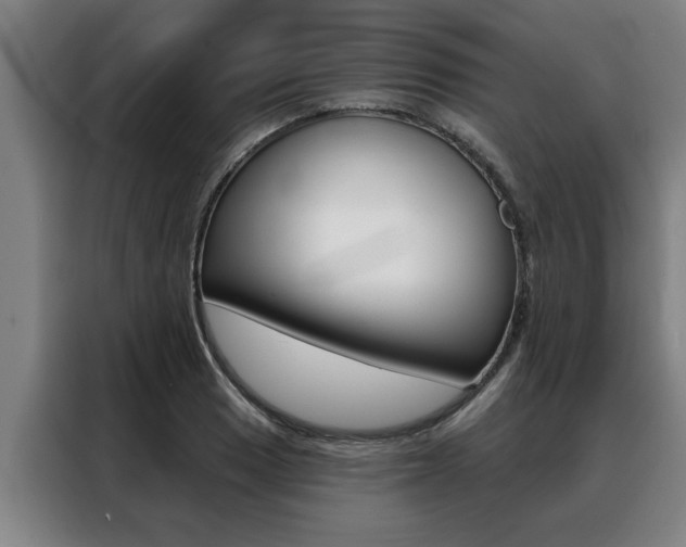 X0000088391033200705220757