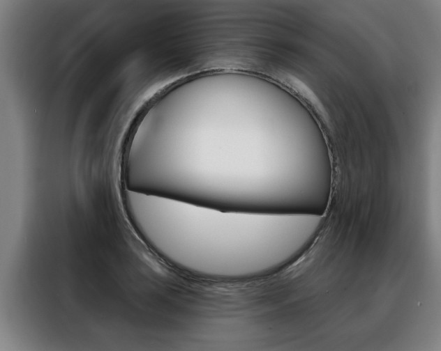 X0000088391035200705220757