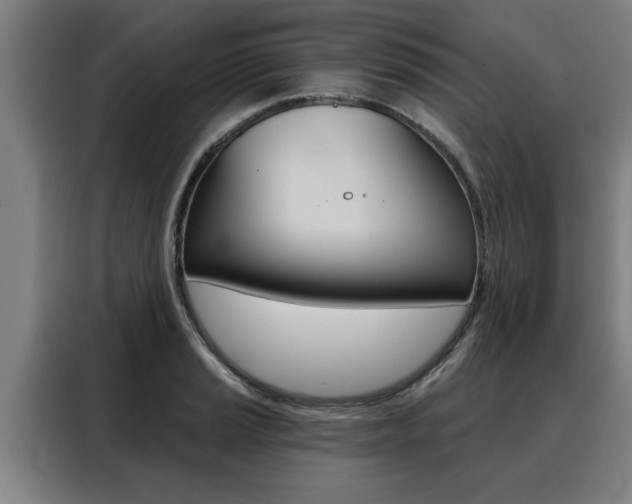 X0000088391037200705220757