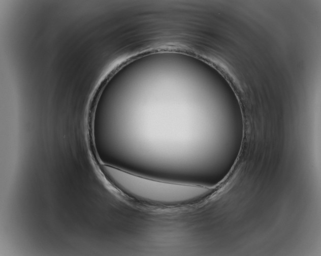 X0000088391038200705220757