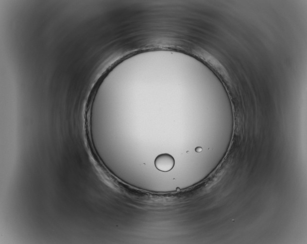 X0000088391039200705220757