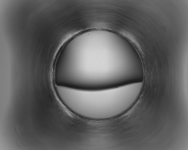 X0000088391040200705220757
