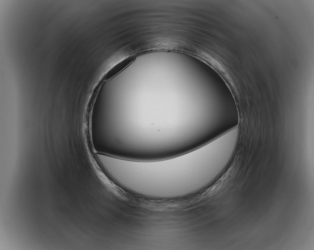 X0000088391042200705220757