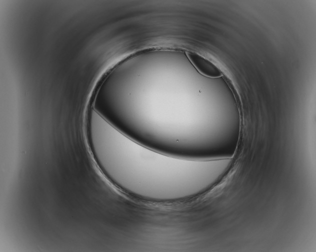 X0000088391045200705220757