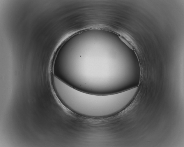 X0000088391046200705220757