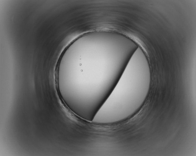 X0000088391047200705220757