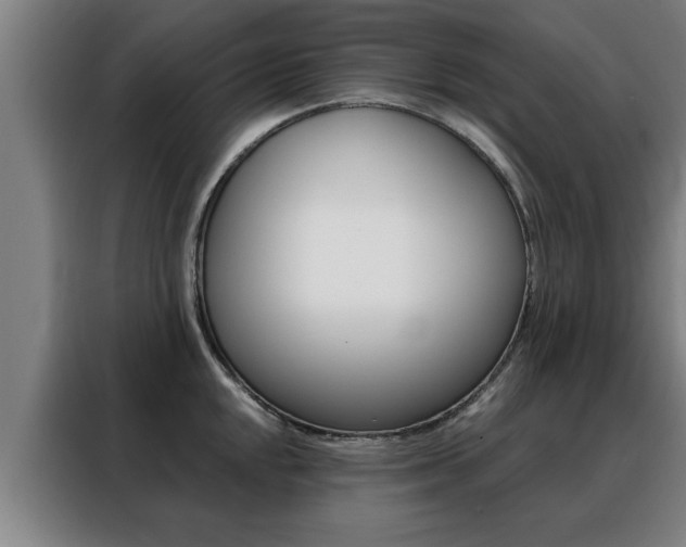 X0000088391048200705220757