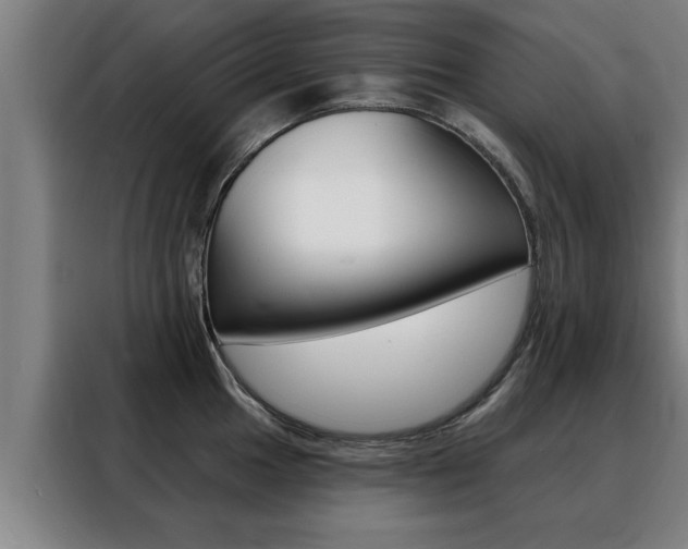 X0000088391049200705220757