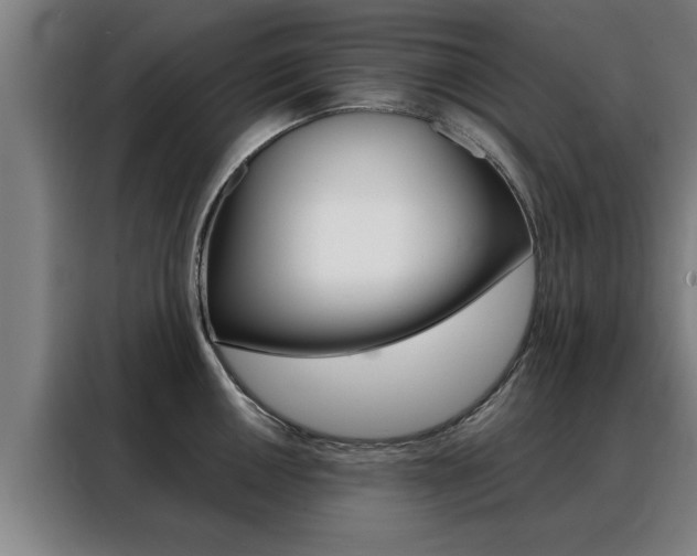 X0000088391050200705220757