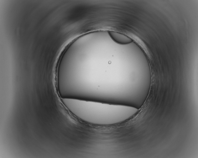 X0000088391051200705220757