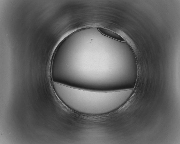 X0000088391052200705220757