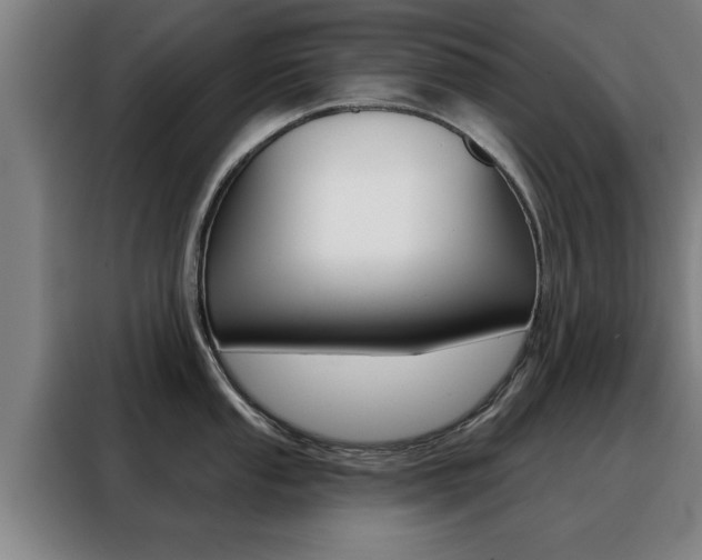 X0000088391053200705220757