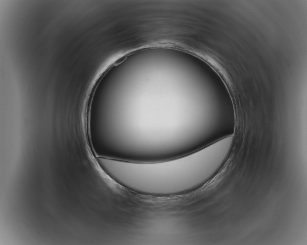 X0000088391054200705220757