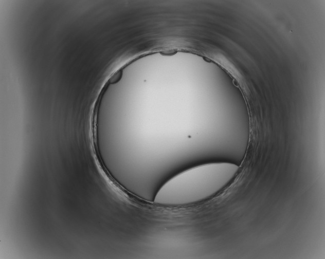 X0000088391055200705220757