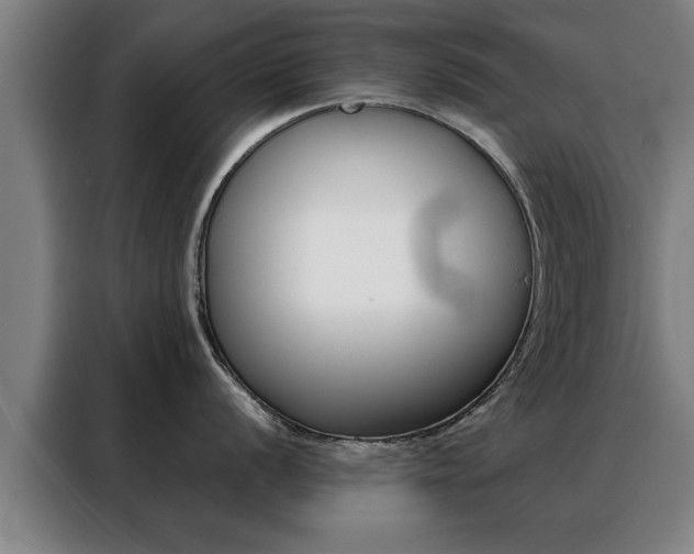 X0000088391056200705220757