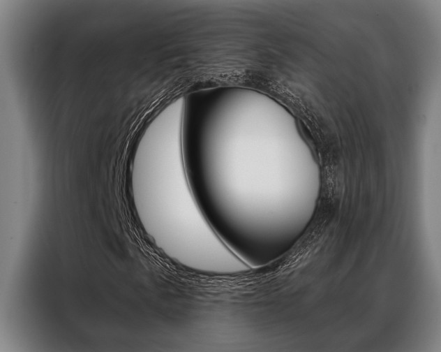 X0000088391057200705220756