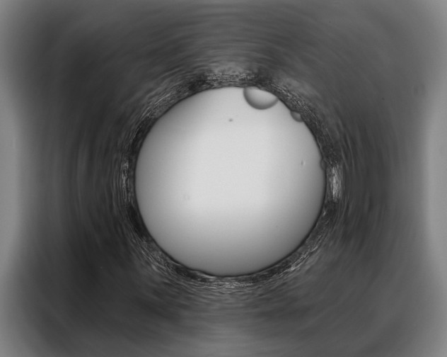 X0000088391059200705220756