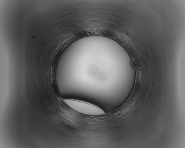 X0000088391060200705220756