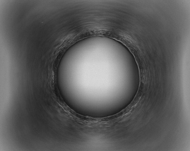 X0000088391061200705220756