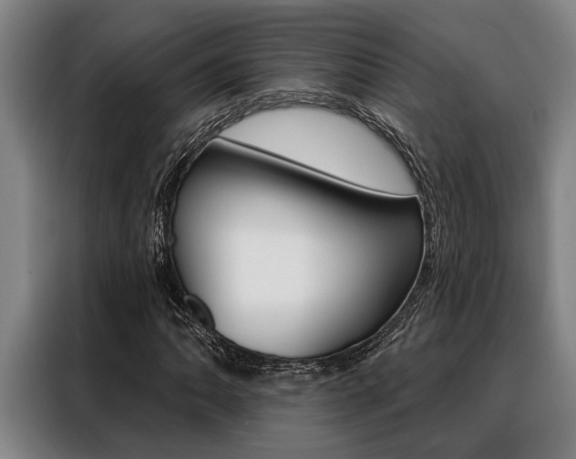 X0000088391062200705220756