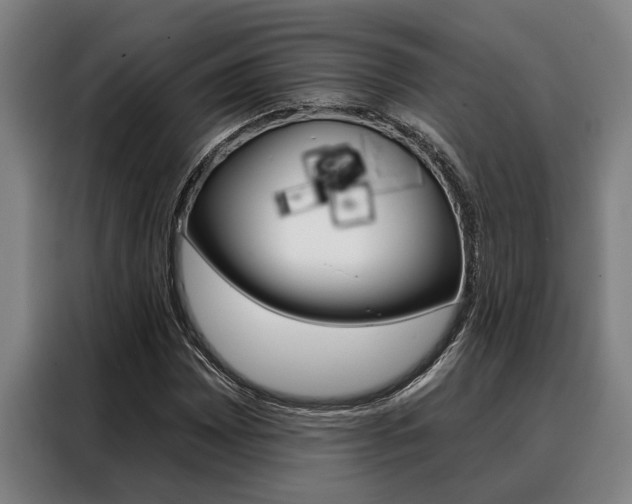 X0000088391065200705220756