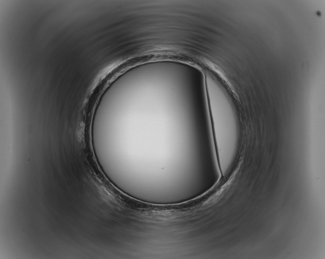 X0000088391066200705220756