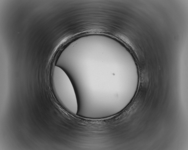 X0000088391067200705220756
