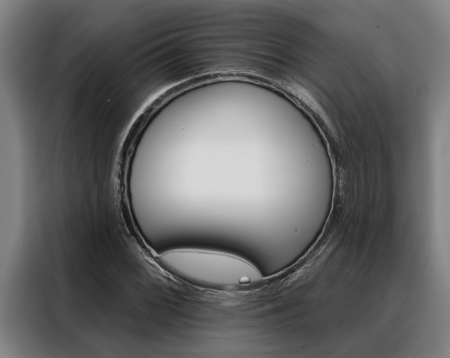X0000088391068200705220756