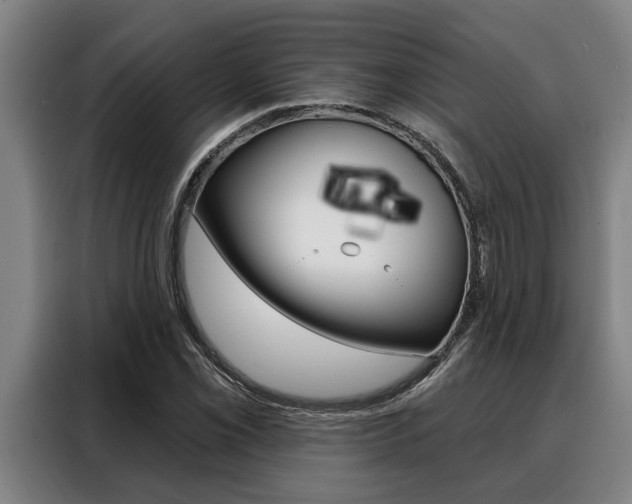 X0000088391069200705220756