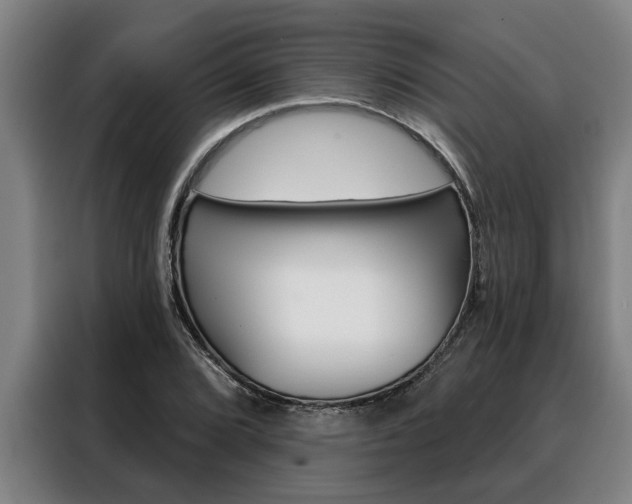X0000088391072200705220756