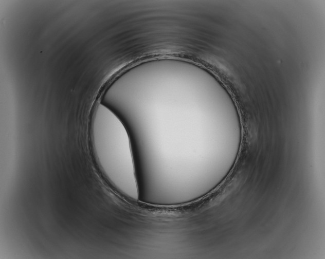 X0000088391073200705220756