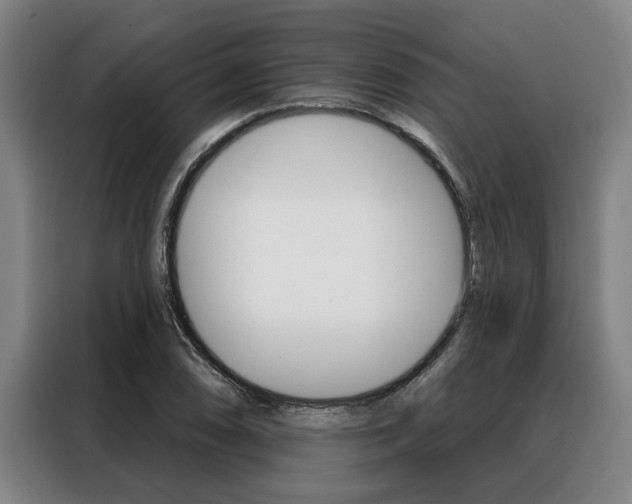X0000088391074200705220756