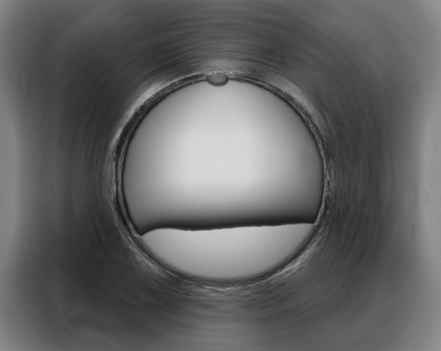 X0000088391075200705220756