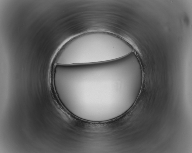 X0000088391076200705220756