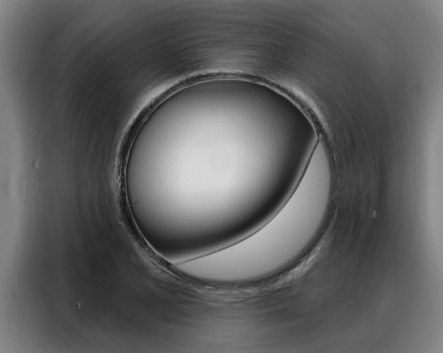 X0000088391077200705220756