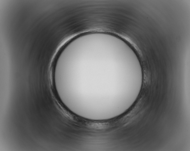 X0000088391078200705220756