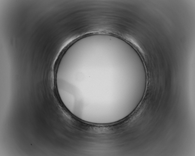 X0000088391079200705220756