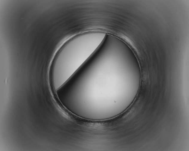 X0000088391082200705220756