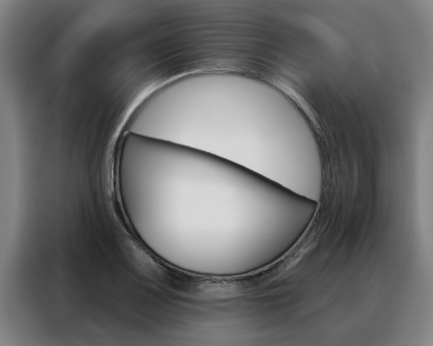 X0000088391083200705220756