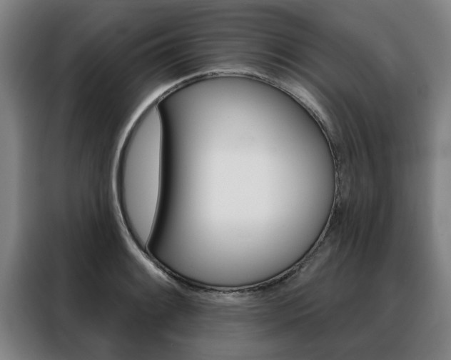 X0000088391084200705220756